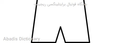 باشگاه فوتبال برایتلینگسی ریجینت